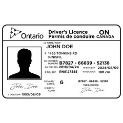 Canada Drivers Licence Template