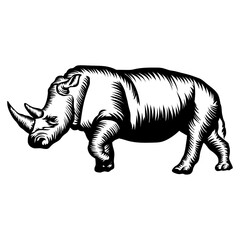 Obraz premium Charging Rhino