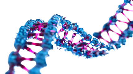 Structure DNA on white background