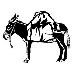 Donkey Loaded With Cargo Donkey Farm Animals Donkey