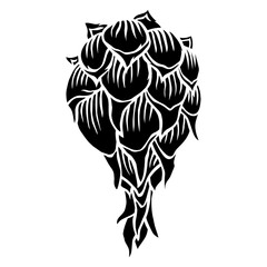 Dragon Fruit  Design