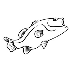 Fish Outline