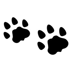 Footprint Mountain Lion Cougar