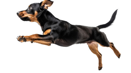 Untitled design - 79