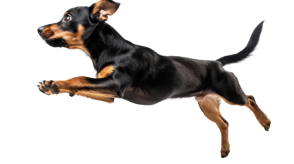 Untitled design - 79