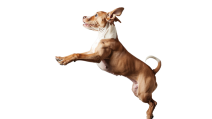 Untitled design - 81