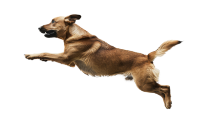 Untitled design - 84