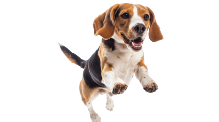 Untitled design - 83