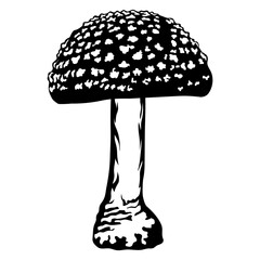 Mushroom Style