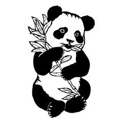 Panda Eating Bamboo