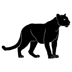 Panther