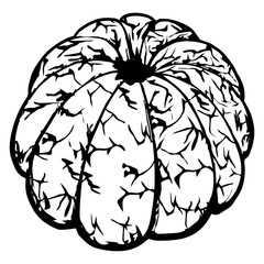 Peeled Orange Orange Fruit Orange