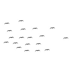Sea Bird Flock