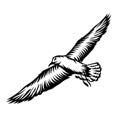 Seagull Design