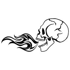 Skull Breathing Fire Skull Skull Logo Skull