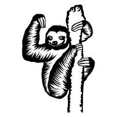 Sloth Hanging on A Tree