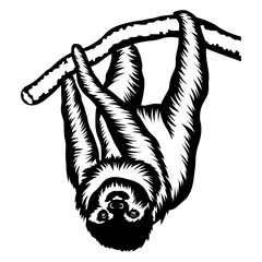 Sloth Hanging on A Tree Upside Down © VektorzDesign