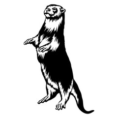 Standing Otter Otter Forest Animals Otter