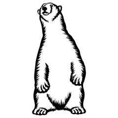 Standing Polar Bear on Feet