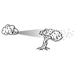 Strong Wind Wind Weather Wind