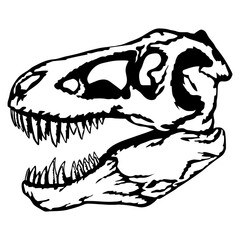 T-rex Skulll