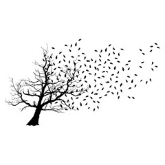 Wind Blowing Leaves Off Tree Autumn Leaves Autumn