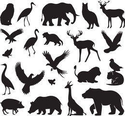 Adobe Illustrator Artwork