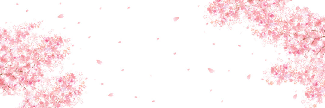 桜　春　ピンク　背景	