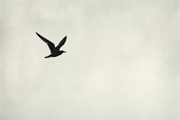 Fototapeta premium a minimalist art piece of a single migratory bird in flight