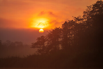Obraz premium Sunrise above a remote wilderness rainforest and river in the jungles of Borneo