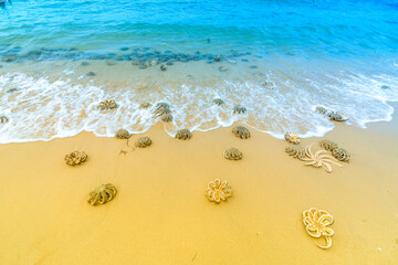 Group of Starfish on sandy beach in a beautiful sunny day. The starfishes are sunbathing on the beach sand in front of the ocean.