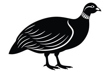 Obraz premium Cartoon smiling quail bird on white background