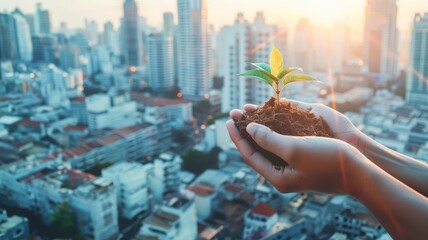 Growing plant cradled by hands against a cityscape, emphasizing the importance of sustainable development and ESG principles