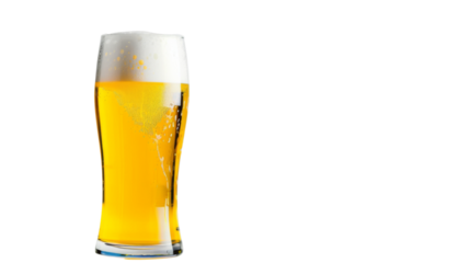 Beer on white background