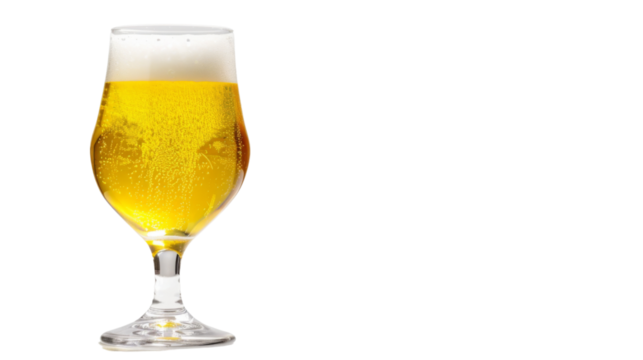 Beer on white background