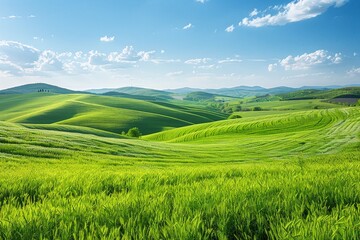 Fototapeta premium Beautiful rolling green hills under a clear blue sky with scattered white clouds, showcasing a serene and picturesque countryside landscape.