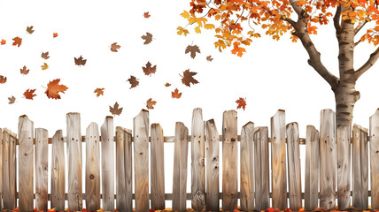 秋の木と古い木製フェンス