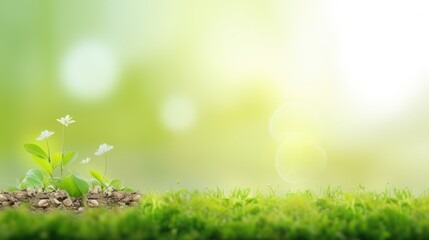 Obraz premium A green field with a bunch of plants and grass