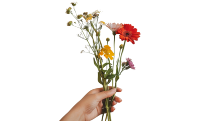 Human hand holding bouquet of flowers on white background