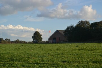 Images from the south Denmark nature