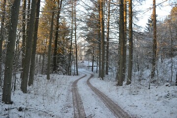 Images from the south Denmark nature