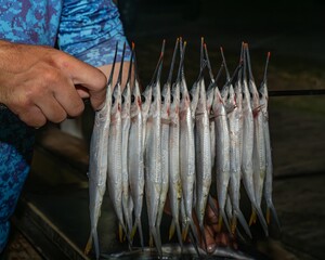 Close-up of a person holding a skewer of fresh fish ready for cooking.