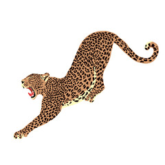 Abstract Illustration of a roaring Leopard