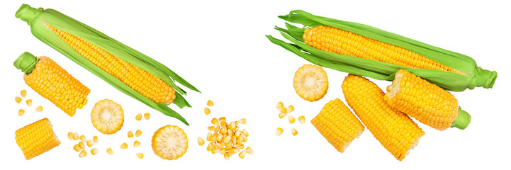 ear of corn isolated on a white background. Top view with copy space for your text. Flat lay