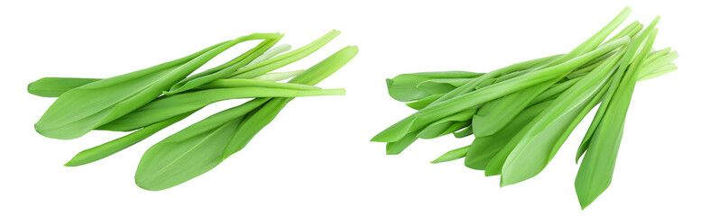 Fototapeta premium Ramson bunch vegetable isolated on white background with full depth of field