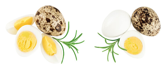 boiled quail egg isolated on white background with full depth of field. Top view. Flat lay