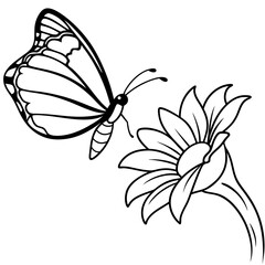 Insects coloring pages for kids coloring book