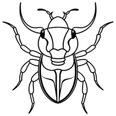 Insects coloring pages for kids coloring book