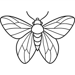 Insects coloring pages for kids coloring book