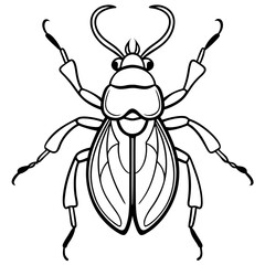 Insects coloring pages for kids coloring book
